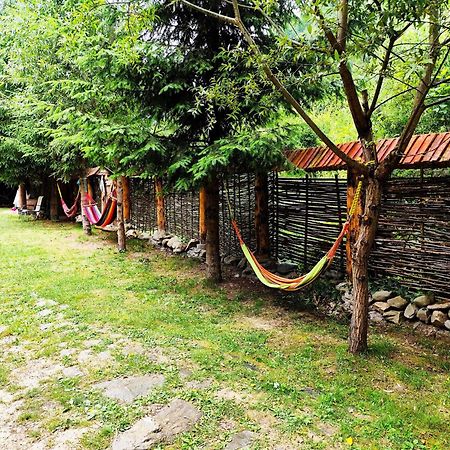 Cabana Frasin Dragoslavele Exterior photo