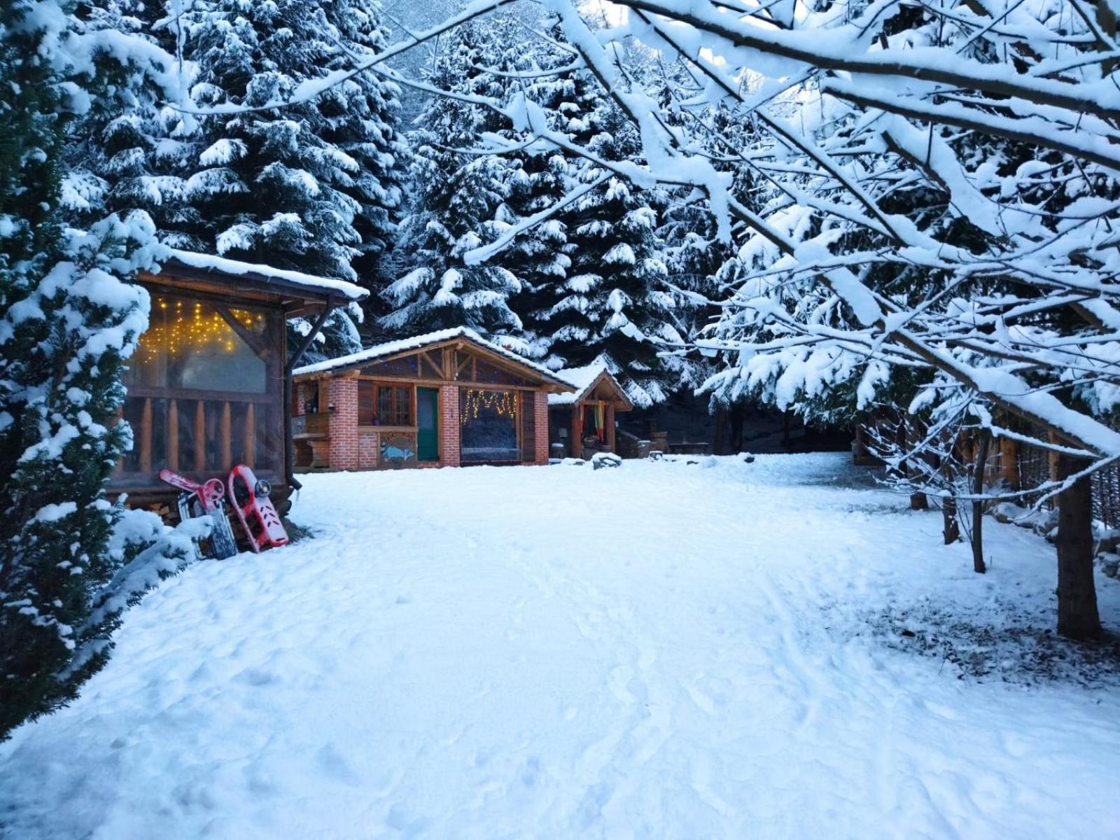 Cabana Frasin Dragoslavele Exterior photo