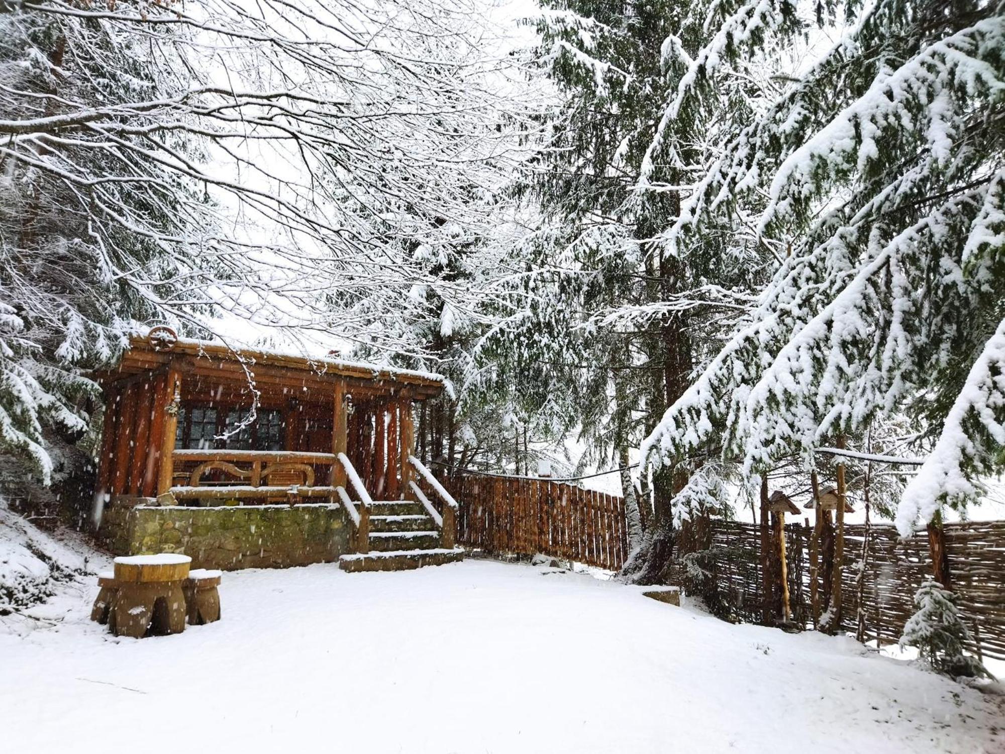 Cabana Frasin Dragoslavele Exterior photo